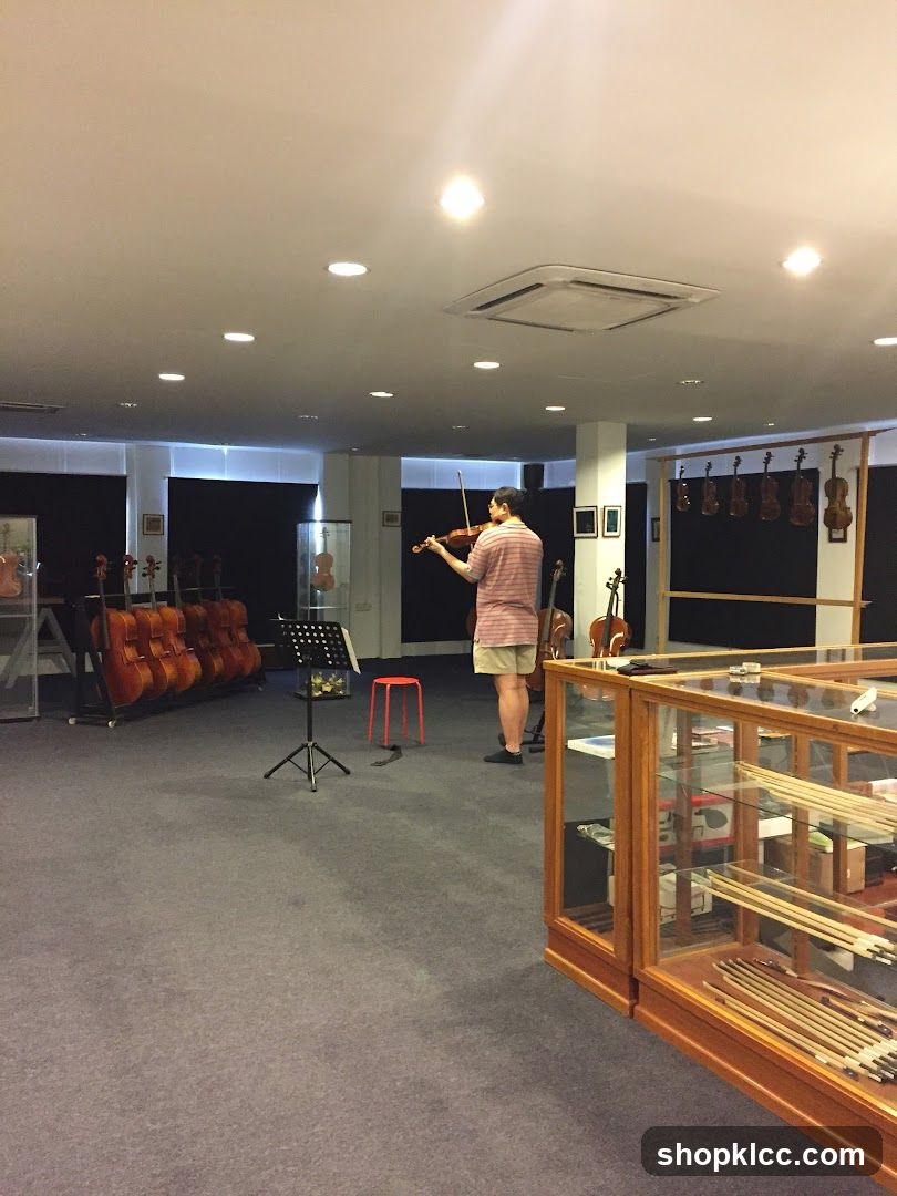 Violin Shop Interior