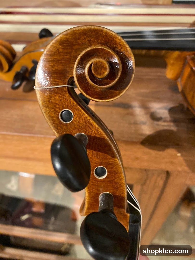 Violin Scroll Detail