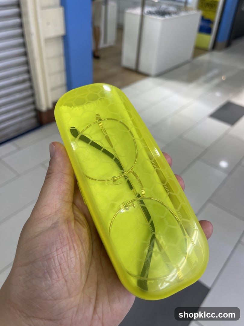 Eyeglasses in Case