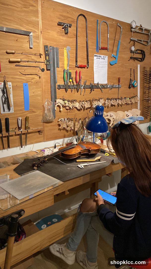 Violin Workshop