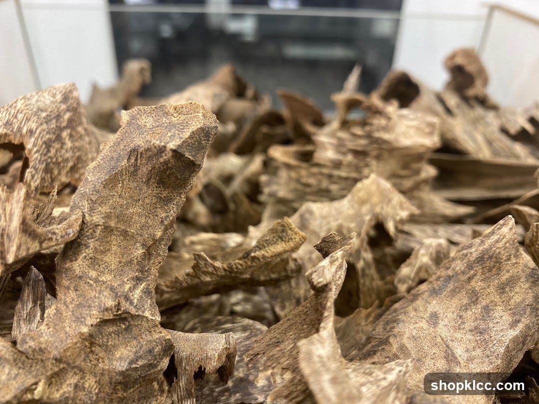 Pile of dried wood chips or bark fragments