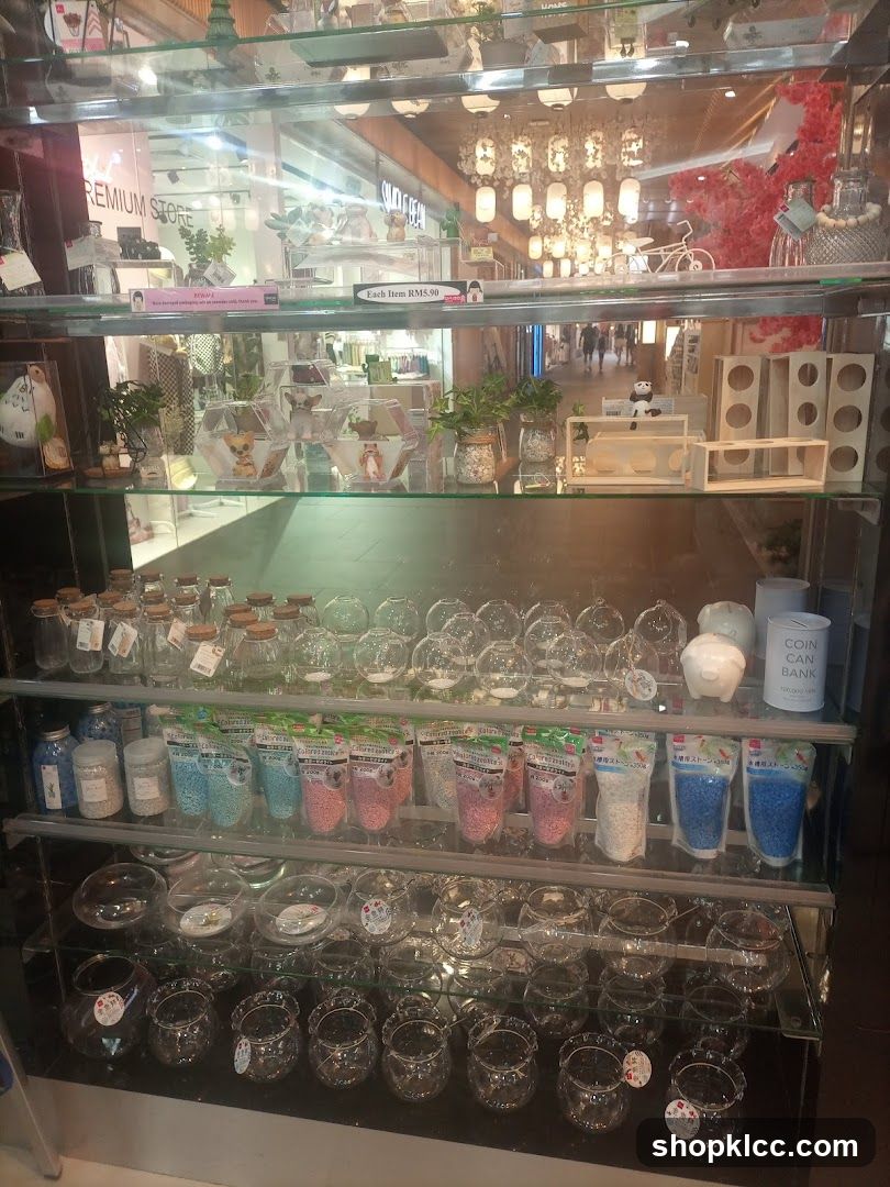 Glass Terrarium and Decor Display