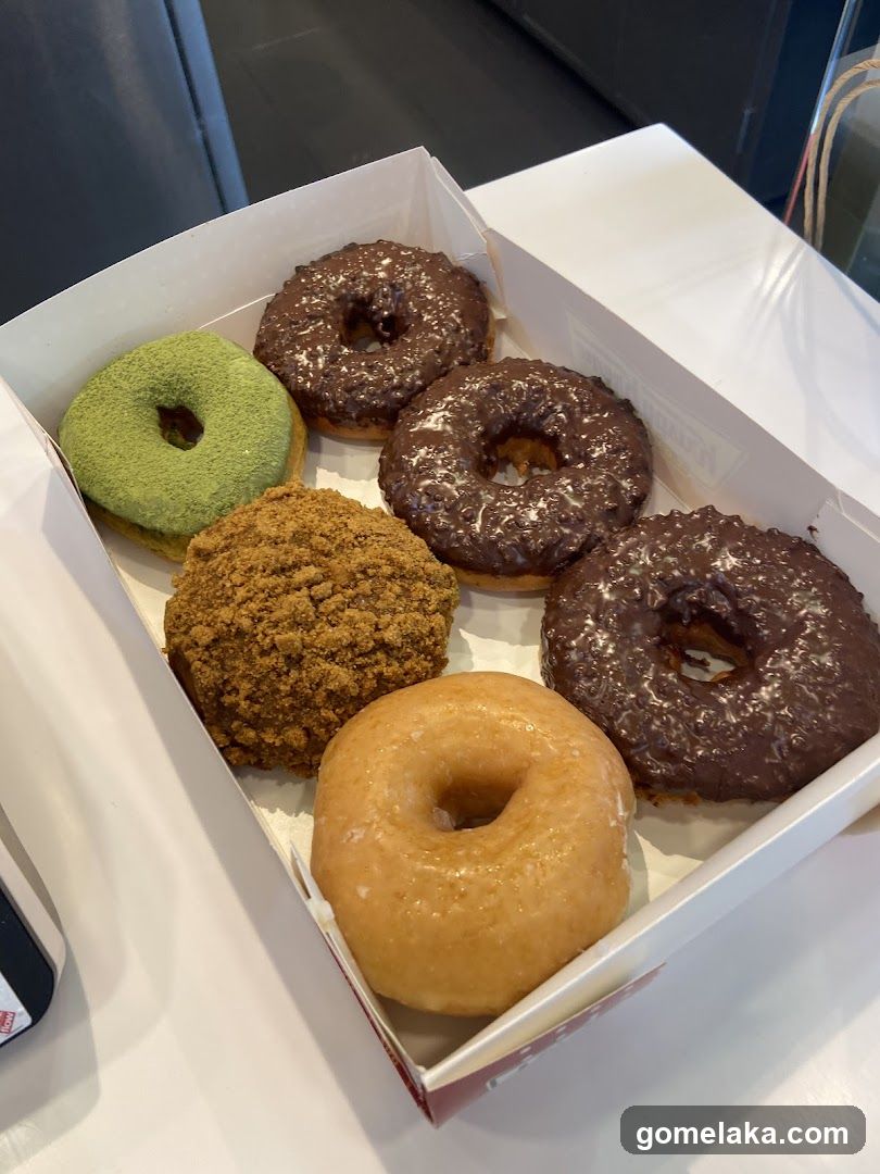 Donut Box