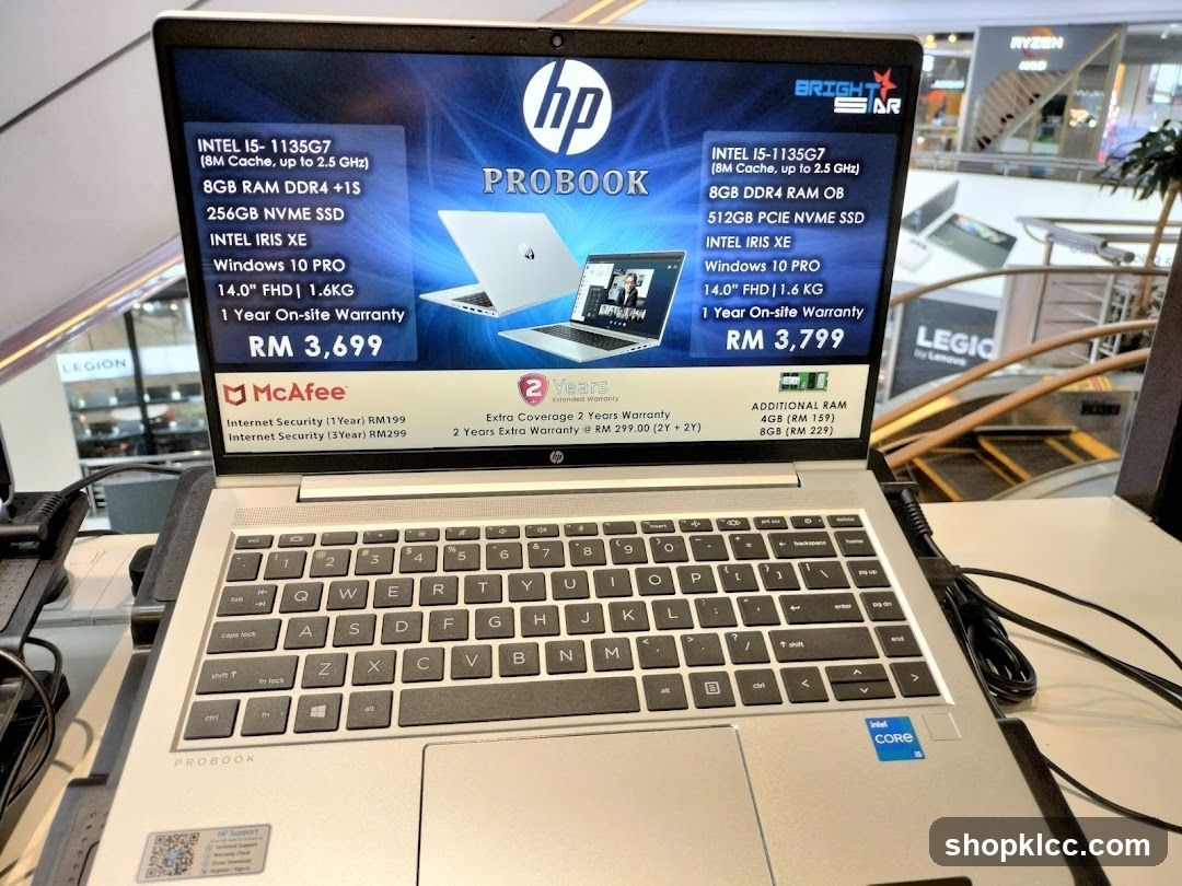 HP ProBook Laptop Display