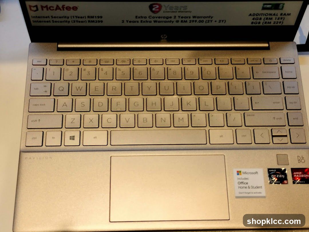 HP Pavilion Laptop Display