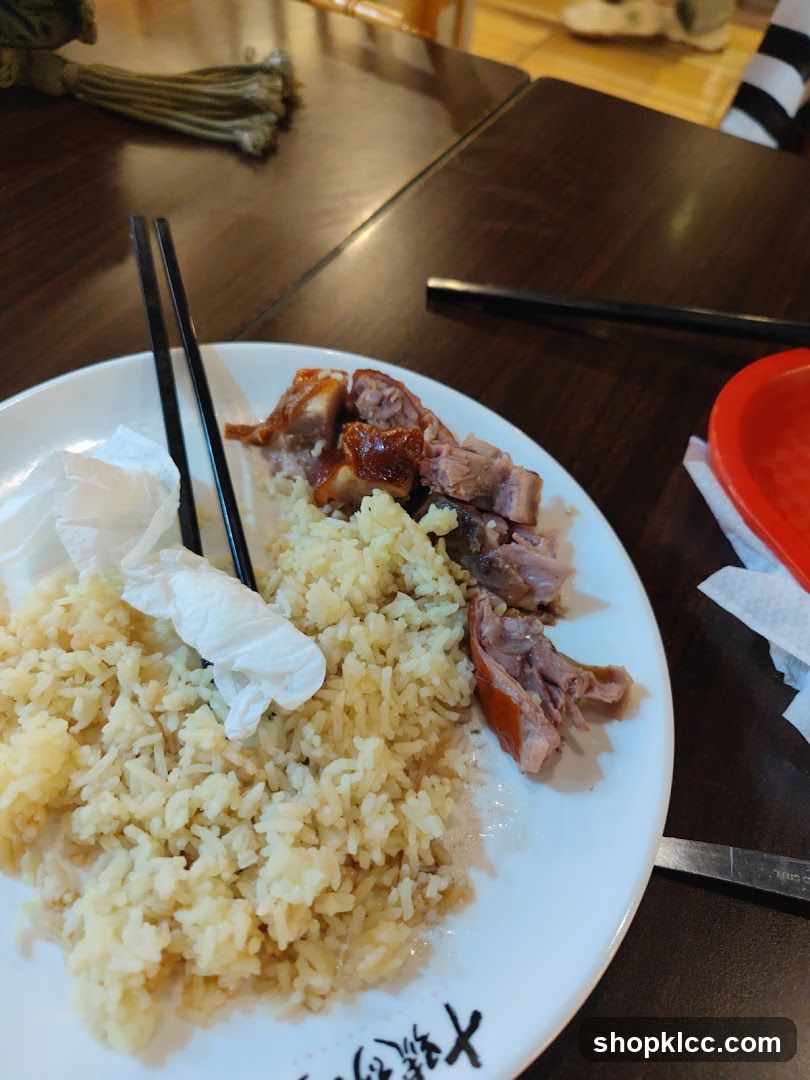 Roast Duck and Rice