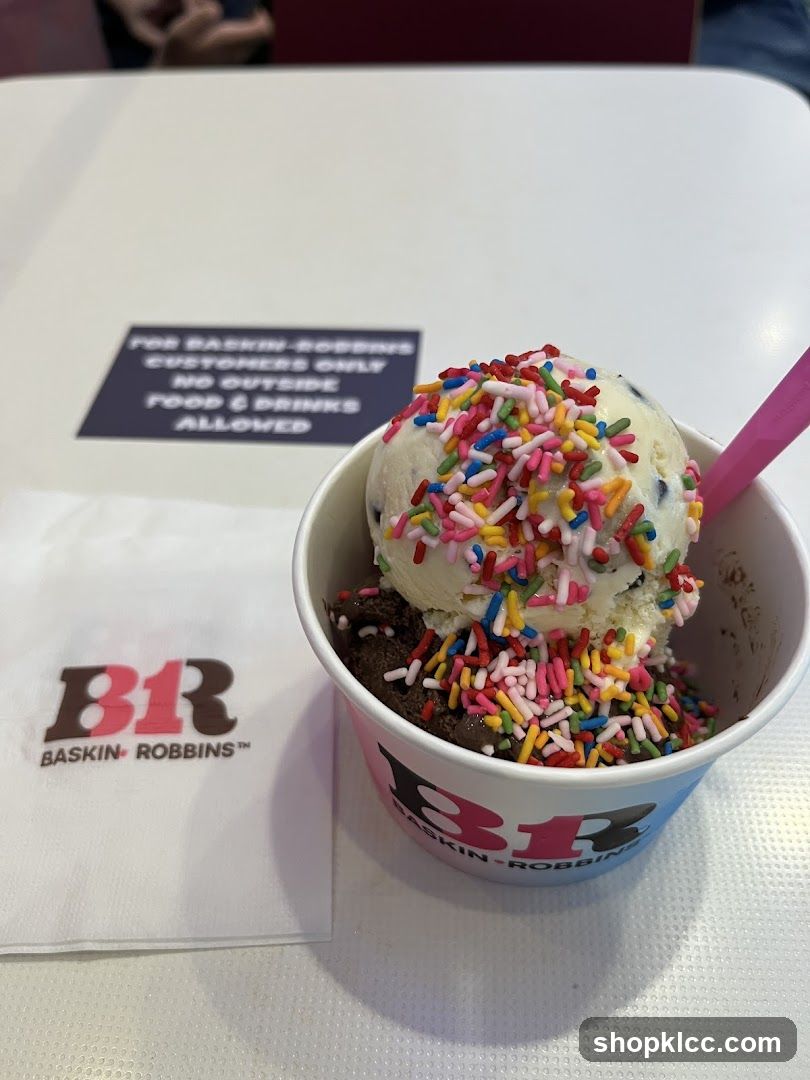 Baskin Robbins Ice Cream Cup with Sprinkles