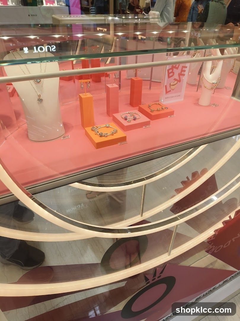 Jewelry Display Case
