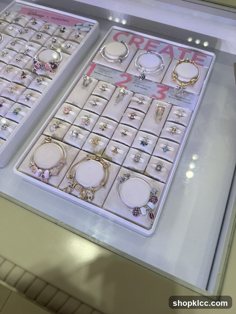 Jewelry Display Case