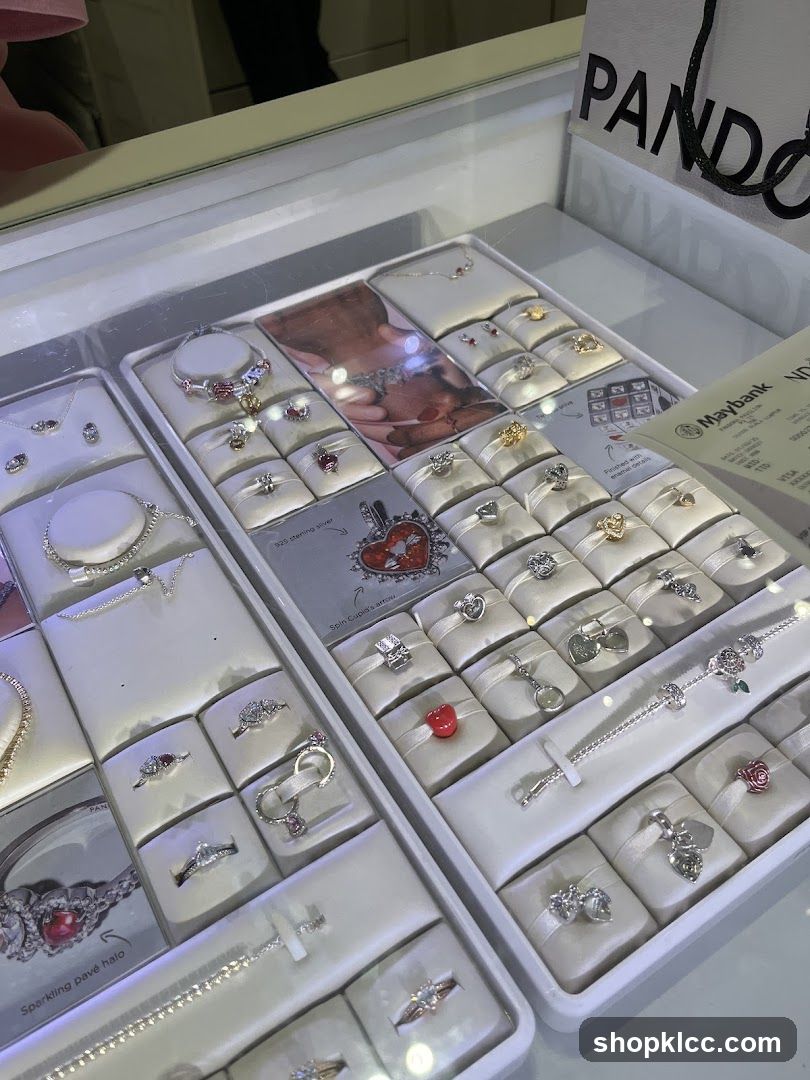 Jewelry Display Case