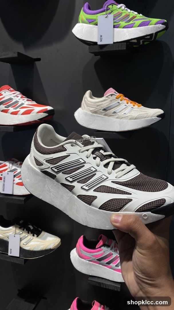 Shoe Display