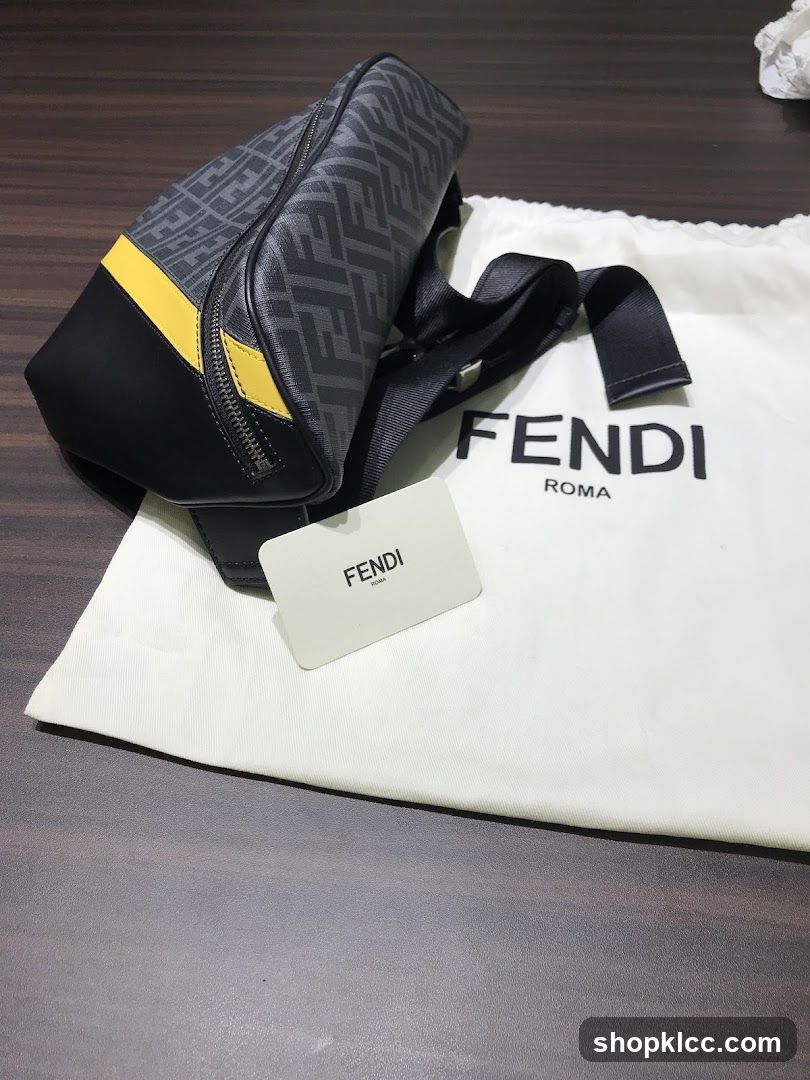 Fendi Bag on Dust Bag