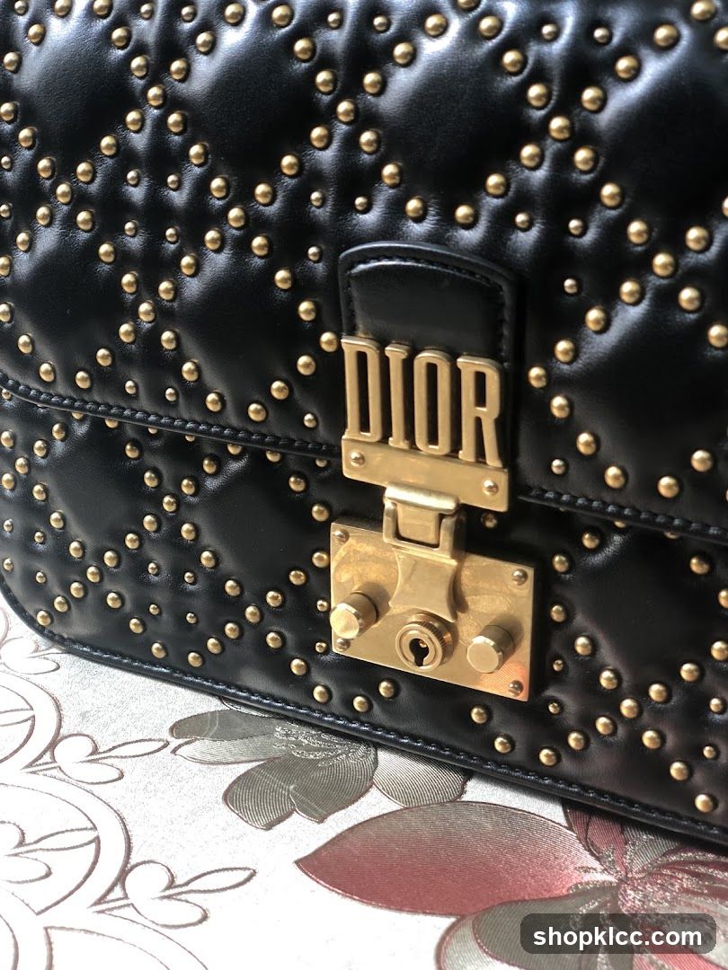 Dior Studded Bag Close-up