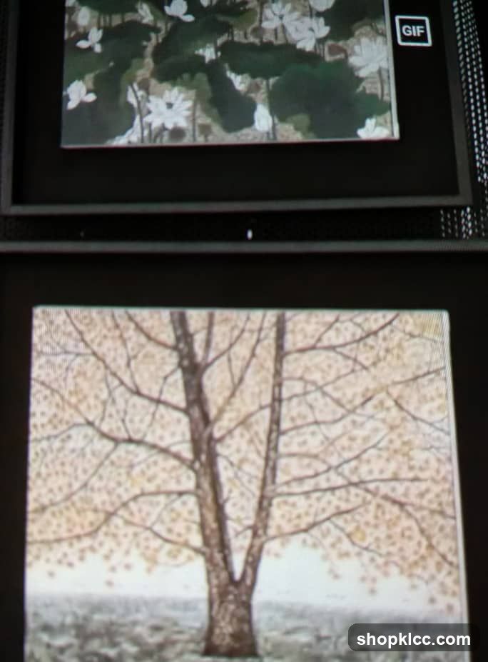 Art Display