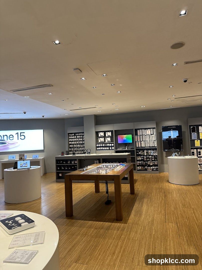Electronic Store Display