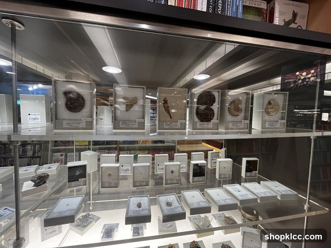 Fossils and Minerals Display