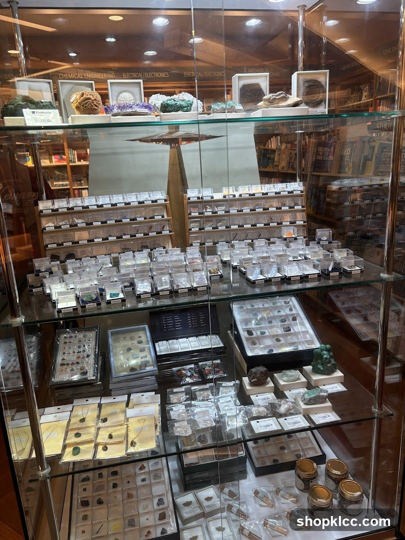 Display Case of Minerals and Geological Specimens