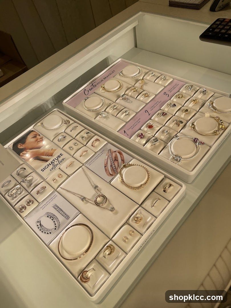 Jewelry Display Case