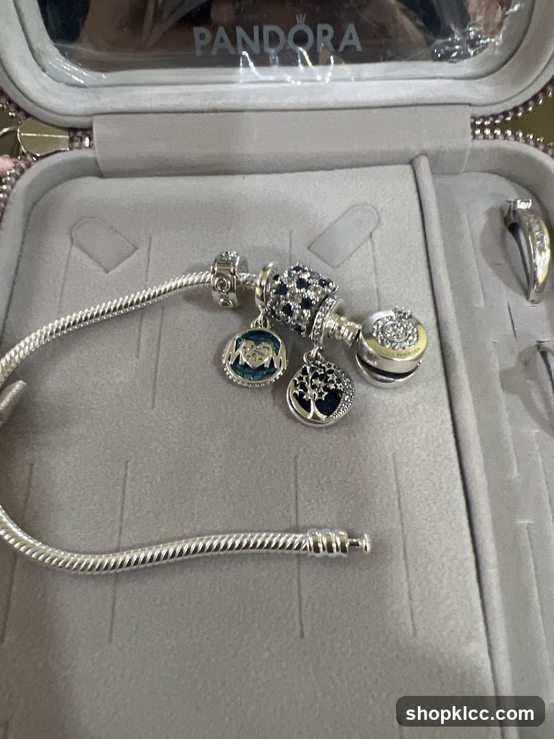 Pandora Bracelet and Charms