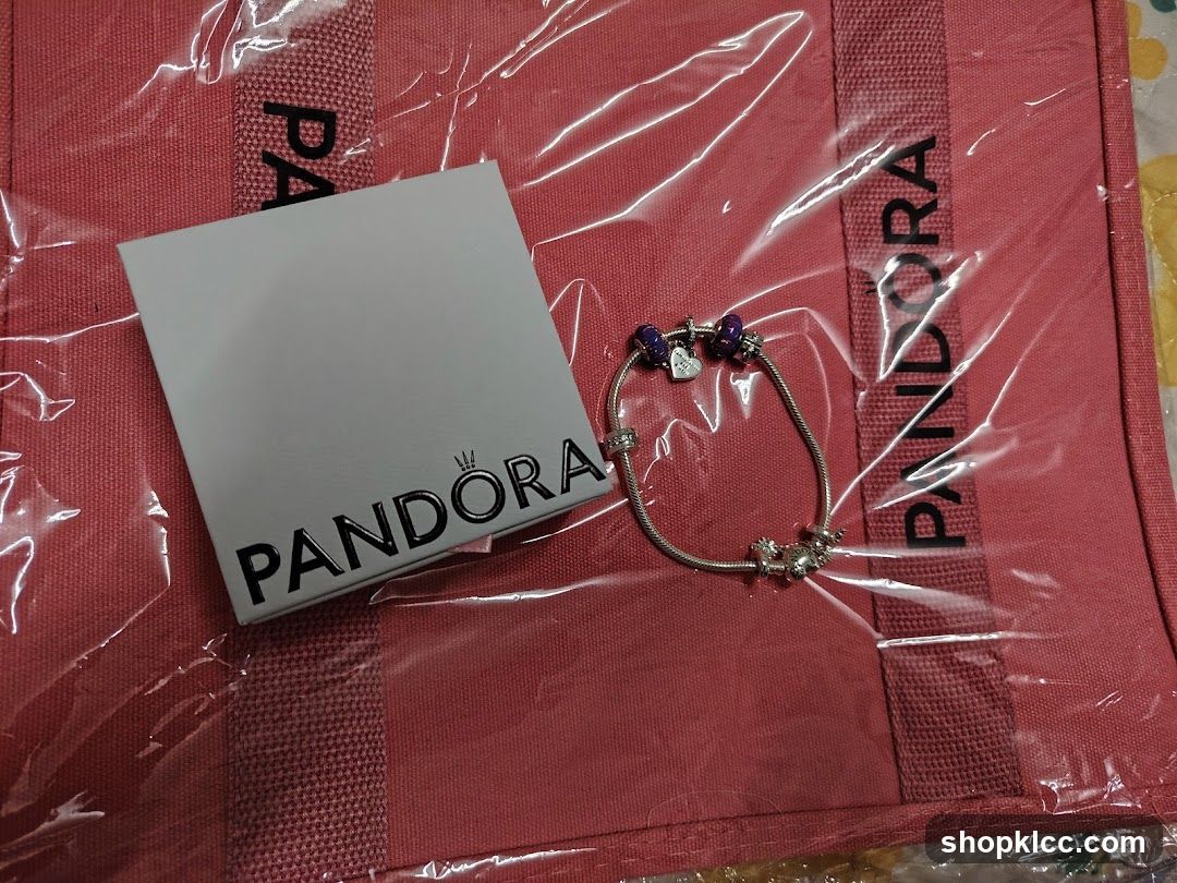 Pandora Bracelet and Gift Bag
