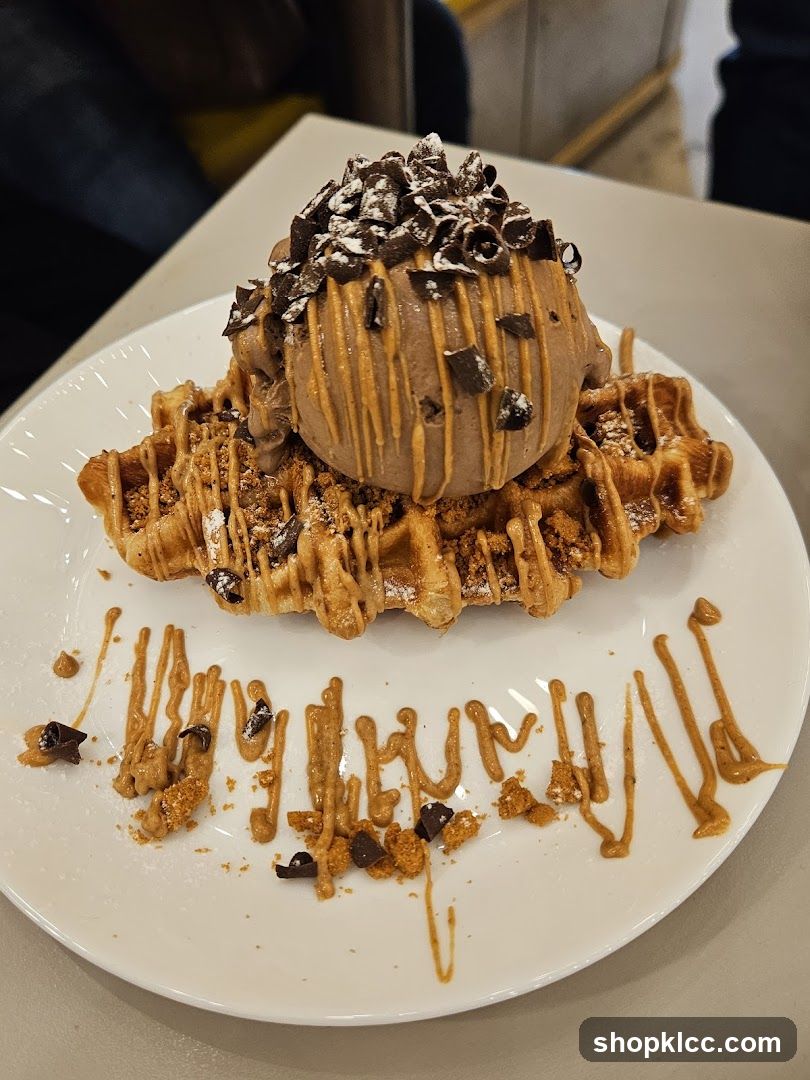 Chocolate Ice Cream Waffle