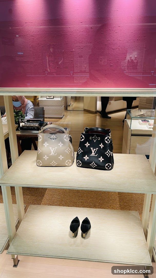 Louis Vuitton Handbags and Shoes