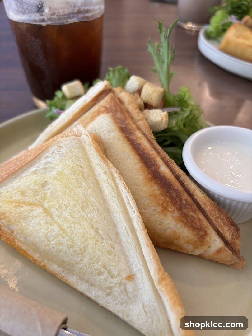 Sandwich and Salad