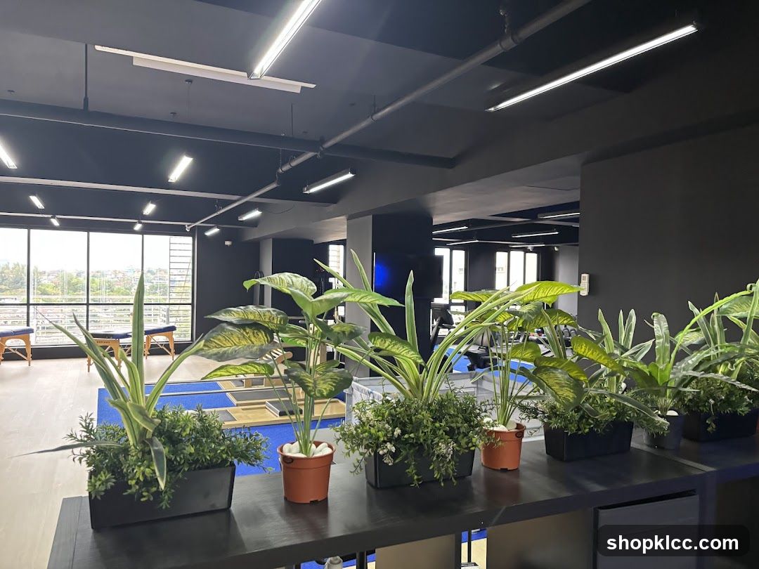 Gym Interior with Plants