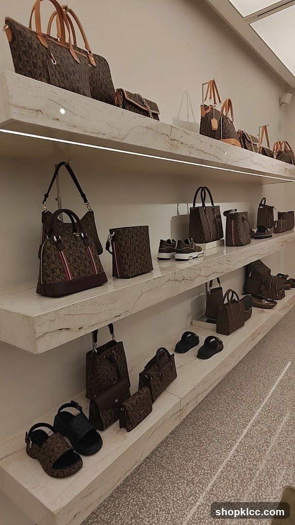 Designer Handbags and Shoes Display