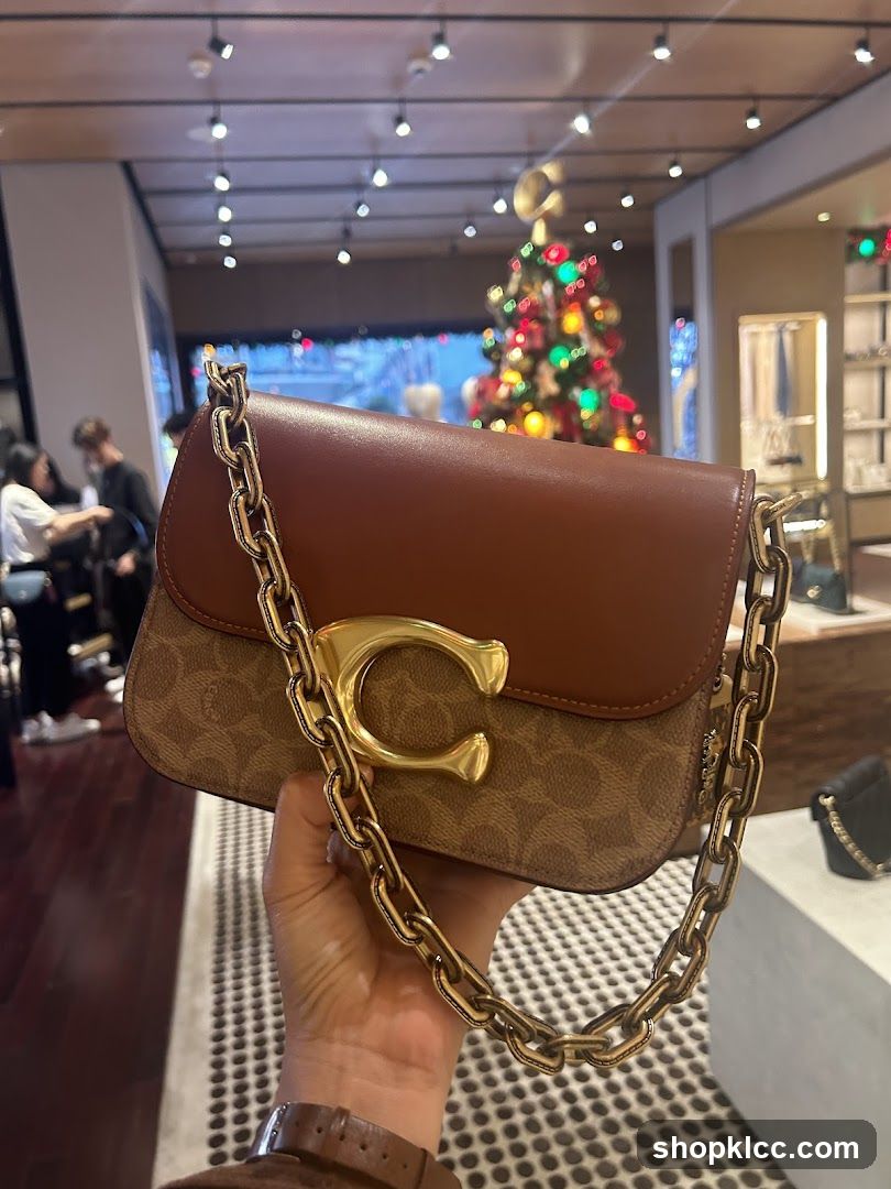 Coach handbag with gold chain strap