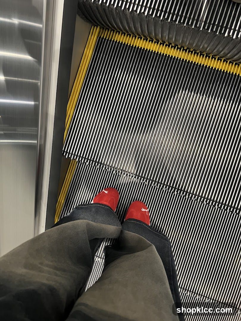 Escalator Steps