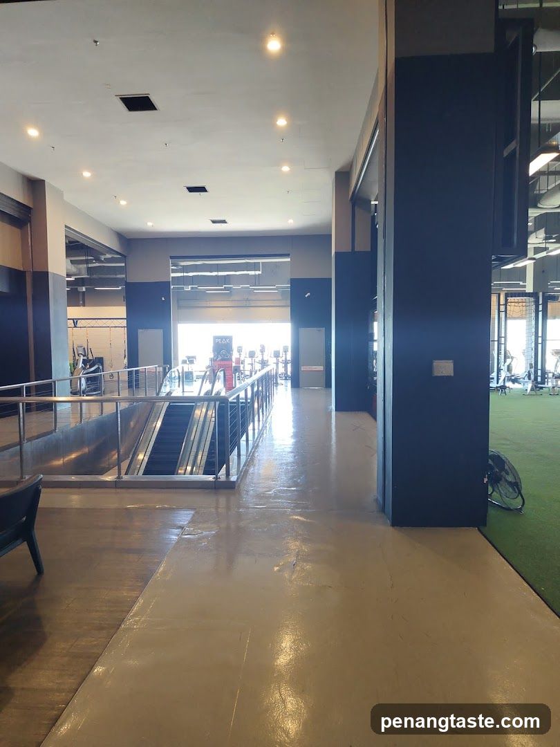Gym Interior with Escalator
