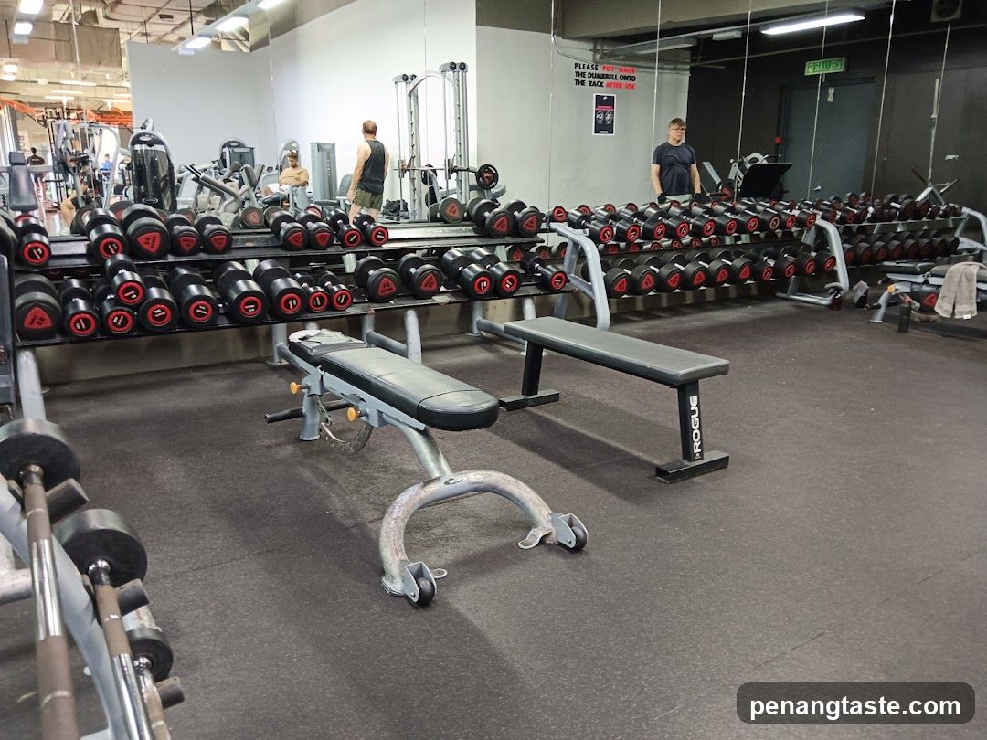 Gym Interior with Dumbbells and Benches