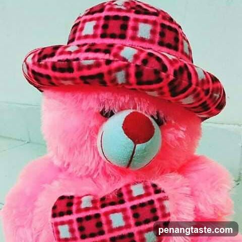 Pink Teddy Bear with Hat