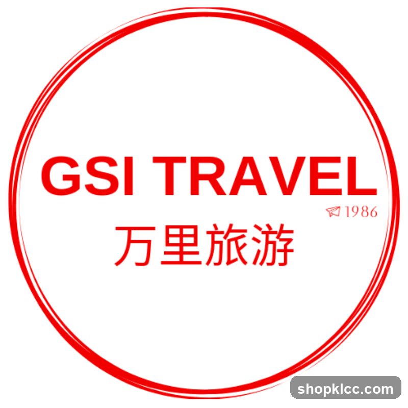 GSI TRAVEL logo