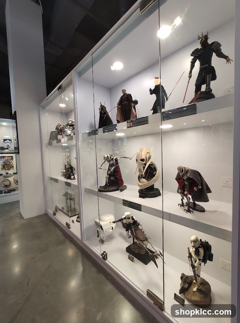 Star Wars Collectibles Display Case