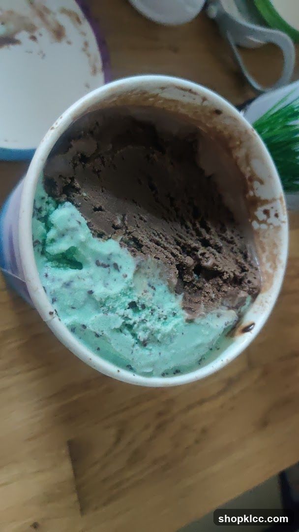 Mint Chocolate Chip and Chocolate Ice Cream