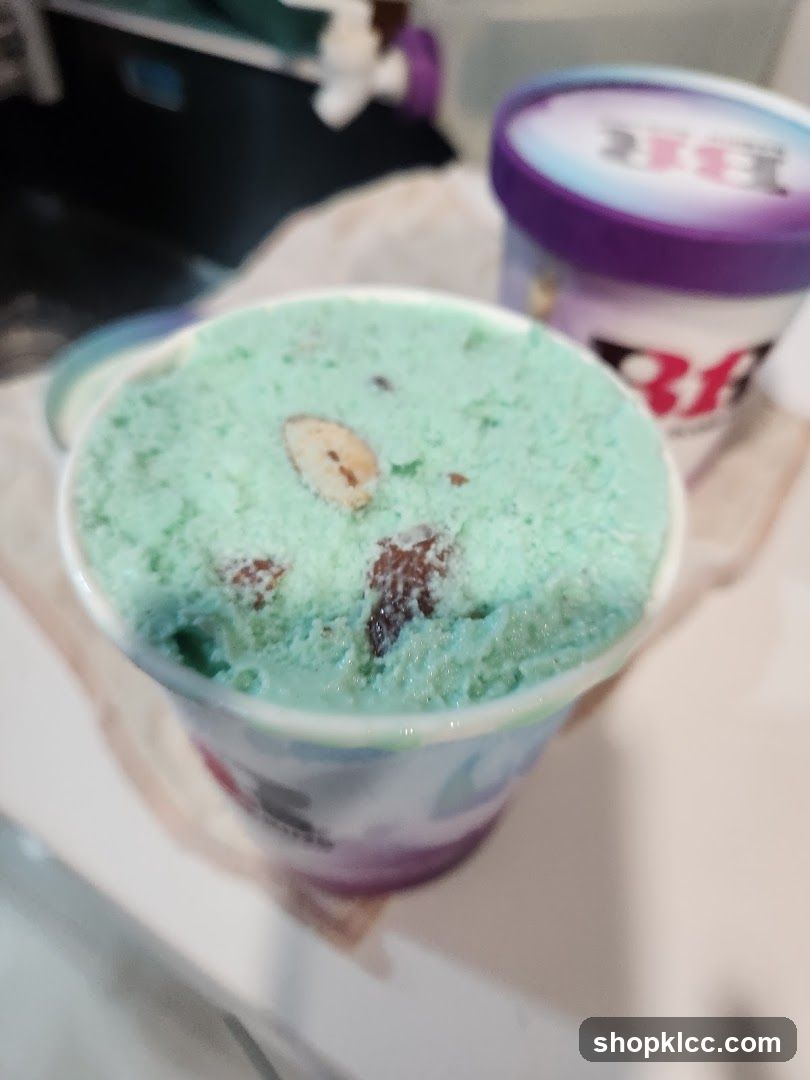 Mint Chocolate Chip Ice Cream