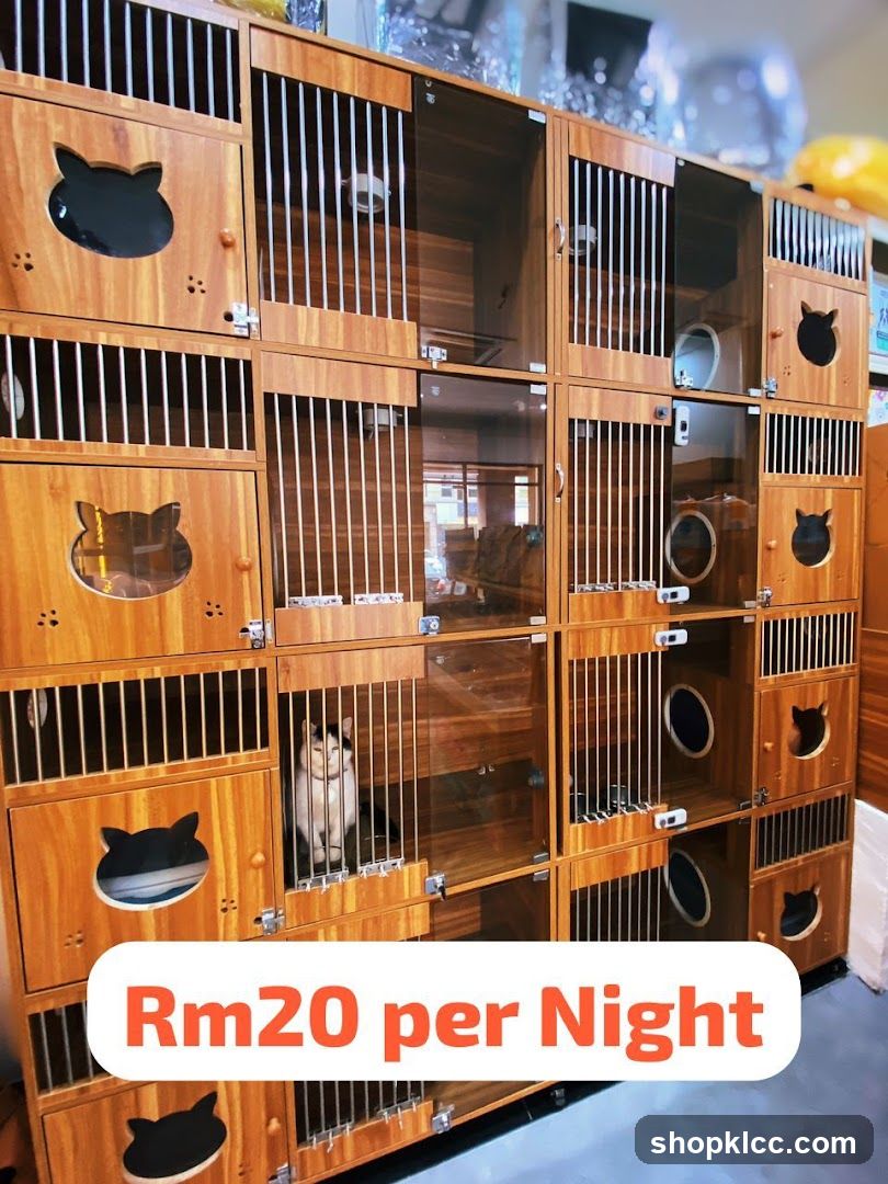 Cat Boarding Cages