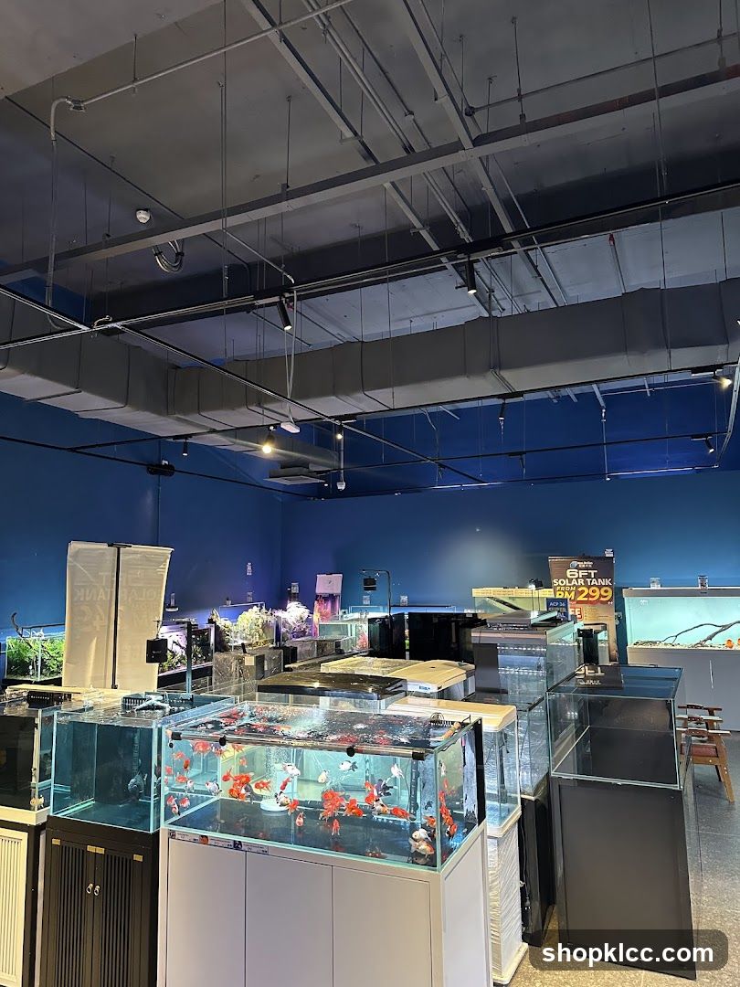 Aquarium Store Interior