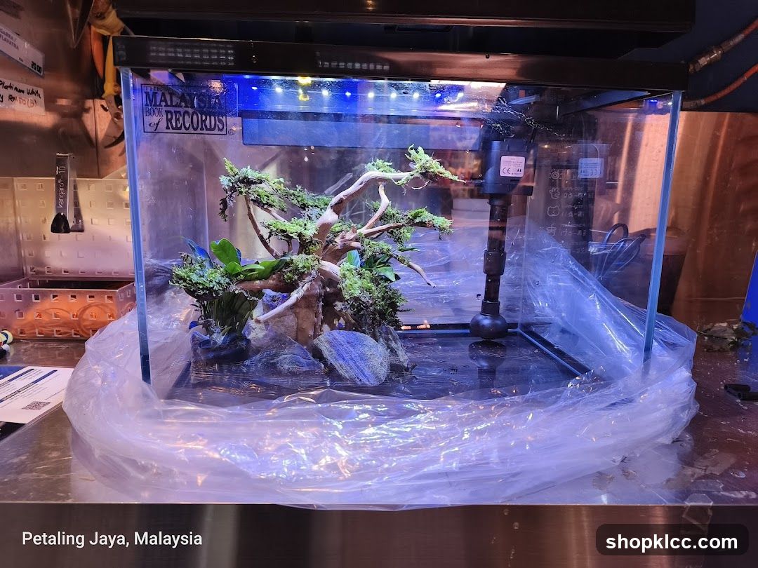 Terrarium Display in Shop Interior