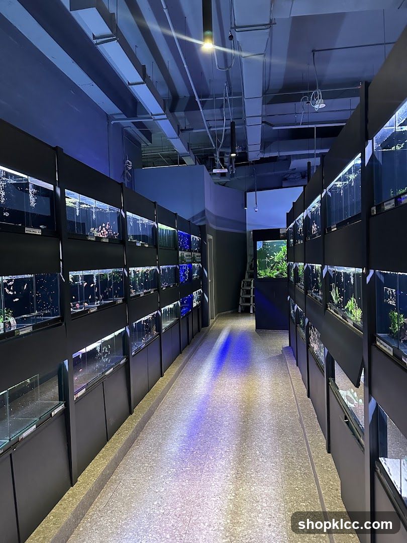 Aquarium Interior