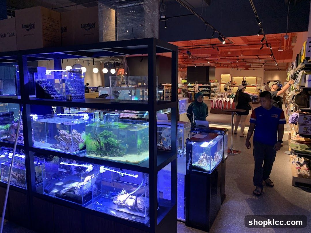 Aquarium Shop Interior
