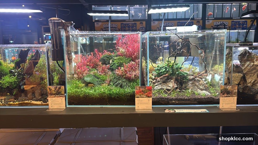 Aquarium Display in Store