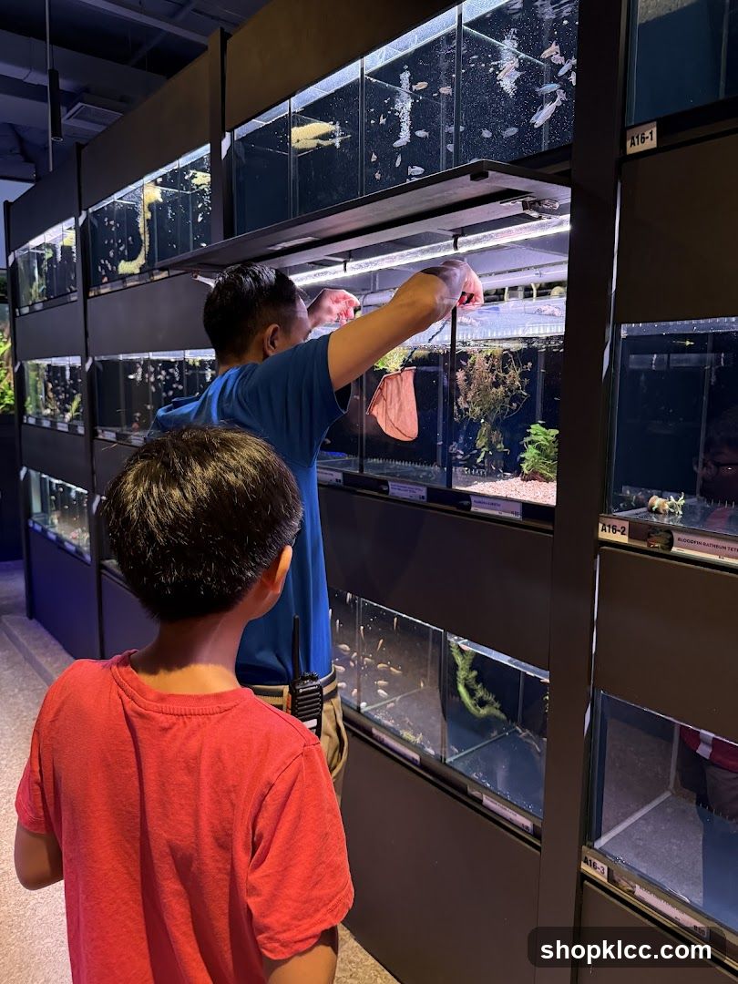 Aquarium Interior with Staff and Visitor