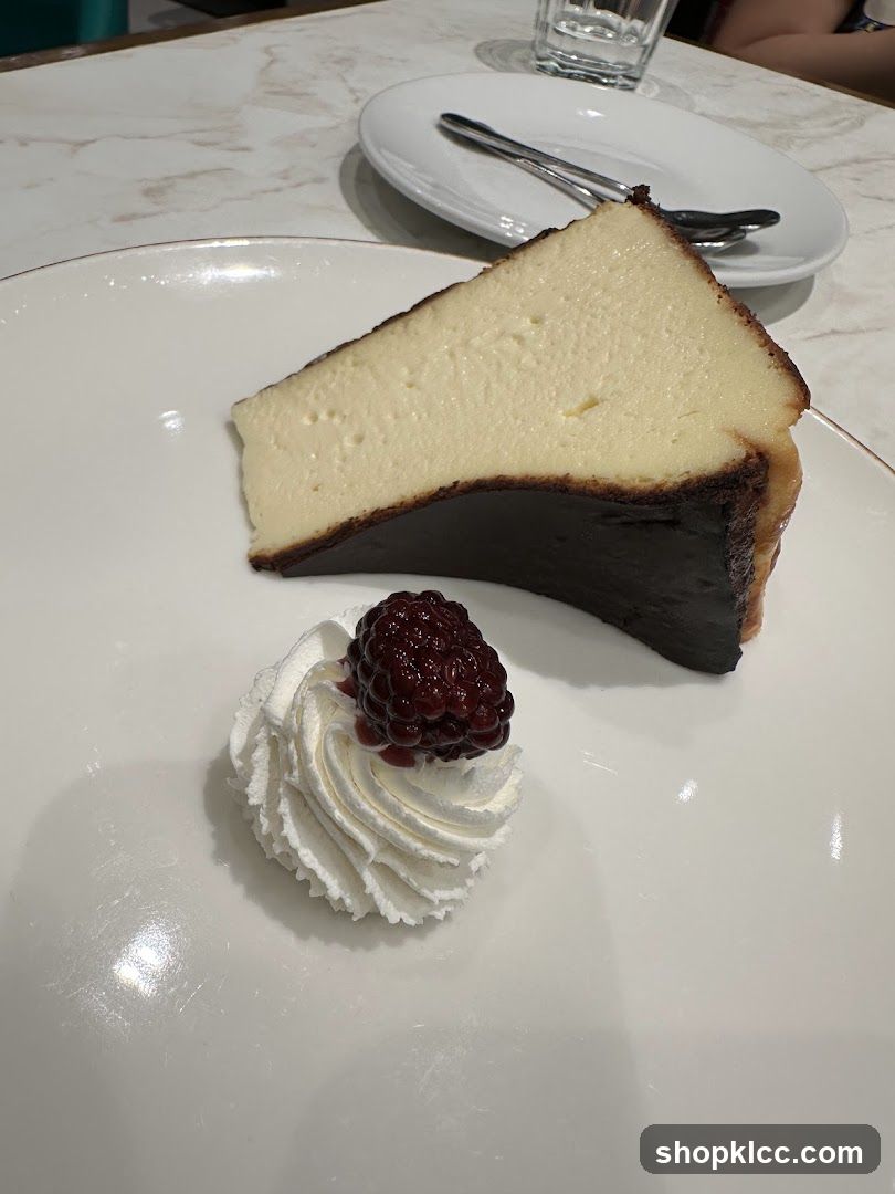 Burnt Basque Cheesecake Slice