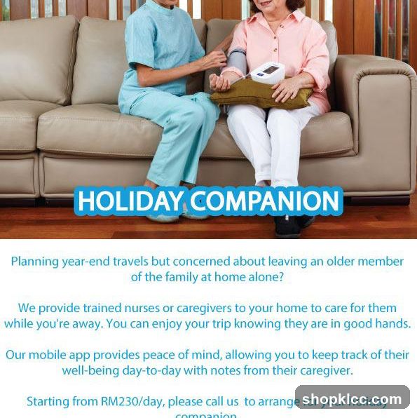 Holiday Companion Service