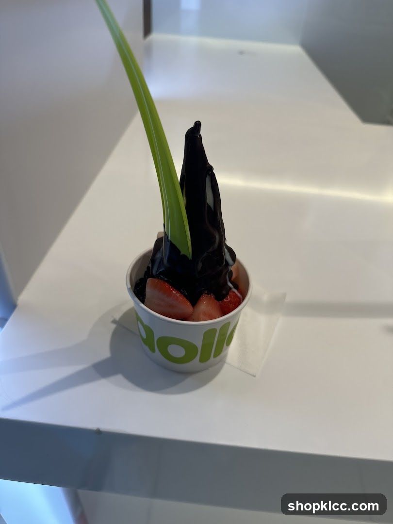 Frozen Yogurt with Toppings