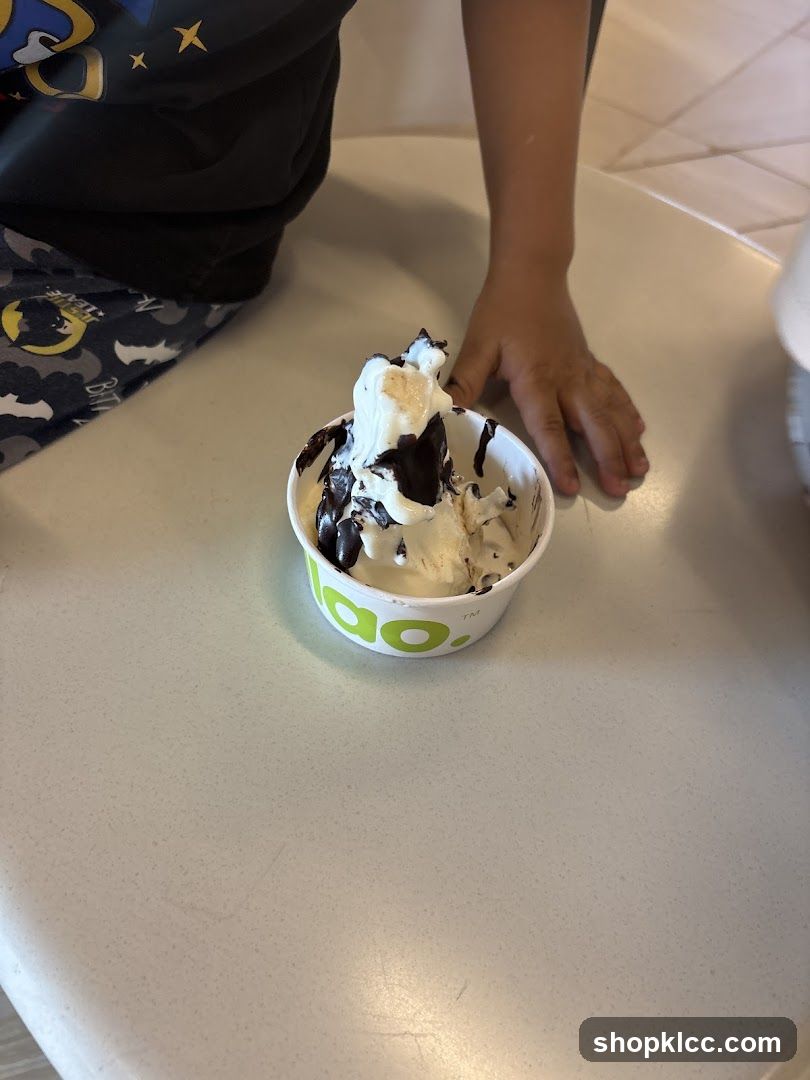 Frozen Yogurt with Chocolate Topping