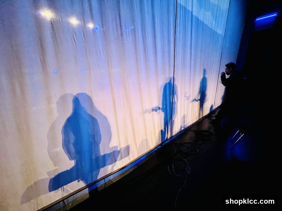 Shadow Play Performance
